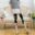 YSDNCHI Short Pants Elastic Floral Stretch Casual Legging Female Breathable Casual Leggings Women 2021 Summer Capris 24