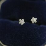 925 Sterling Silver Plated 14k Gold Pavé Crystal Five-pointed Star Earrings Women Simple Fashion Wedding Jewelry Accessories 3