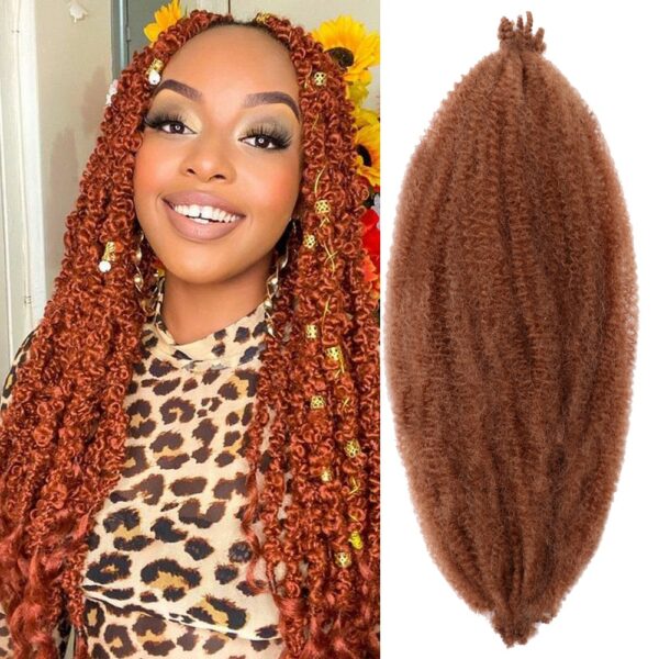 Hair Nest 24Inch Springy Afro Twist Hair Soft Pre-Separated Locs Synthetic Marley Crochet Braiding Hair Spring Twist Hair 1