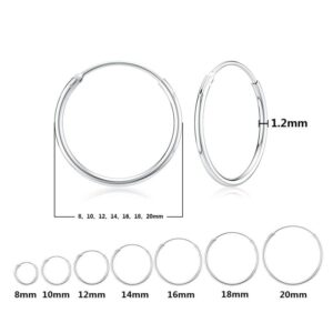 DALARAN Hoop Earrings 925 Sterling Silver Circle Round Huggie Hoop Earrings For Women Men Fashion Simple Jewelry 2