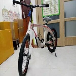 Magnesium alloy mountain bike 2inch double disc brake middle school students ordinary pedal hard frame bicycle mini bike frame 1