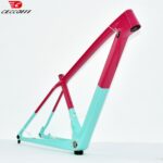Sequel full carbon mtb frame 29 hardtail trail available Customized Color 29er MTB 148mm boost and BSA 73mm 1