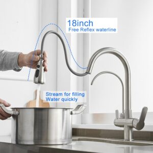 ROVATE Filter Kitchen Faucet Pull Down with Drinking Water Tap, High Arc Water Filter Purifier 3-Way Sink Tap Mixer 2