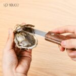 Japan Oyster Knife 304 Stainless Steel with Scallop Opener, Used for Seafood Shell Multi-purpose Can Directly Open Oyster 2